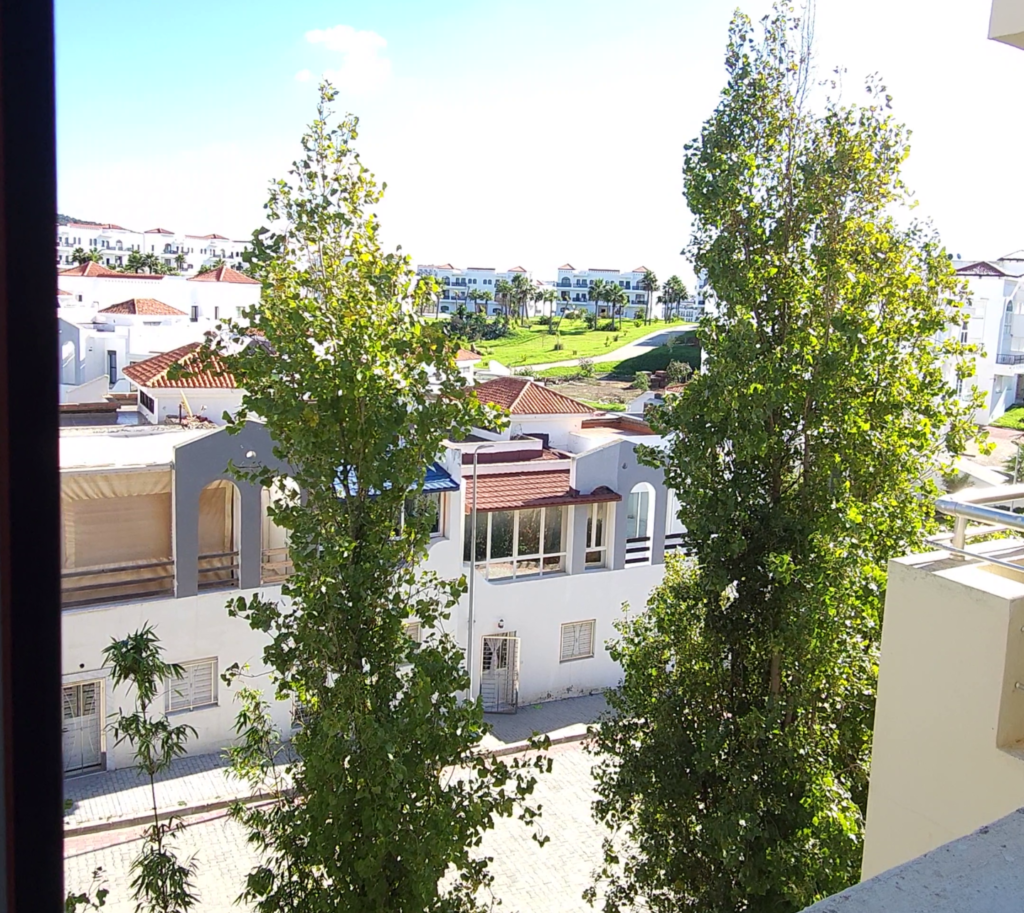 vlcsnap-2026-01-08-17h22m07s615